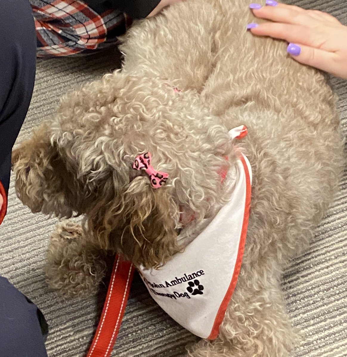 Clarke Road SS tweet media