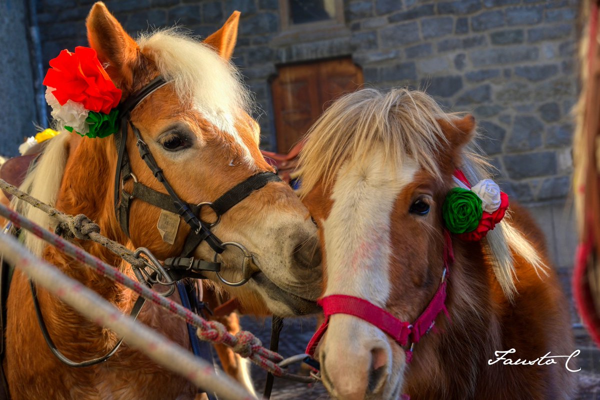 FESTA S.ANTONIO VALFURVA

Domenica 21 gennaio 2024

ore 11.00 S. Messa Chiesa di S. Antonio Valfurva
Benedizione degli animali in Via Gleira
Rinfresco “dolce e salato”
Giochi vari per tutti
Intrattenimento con il Corpo musicale di Valfurva

Vi aspettiamo!❤️🐴

#Valfurva #Cultura