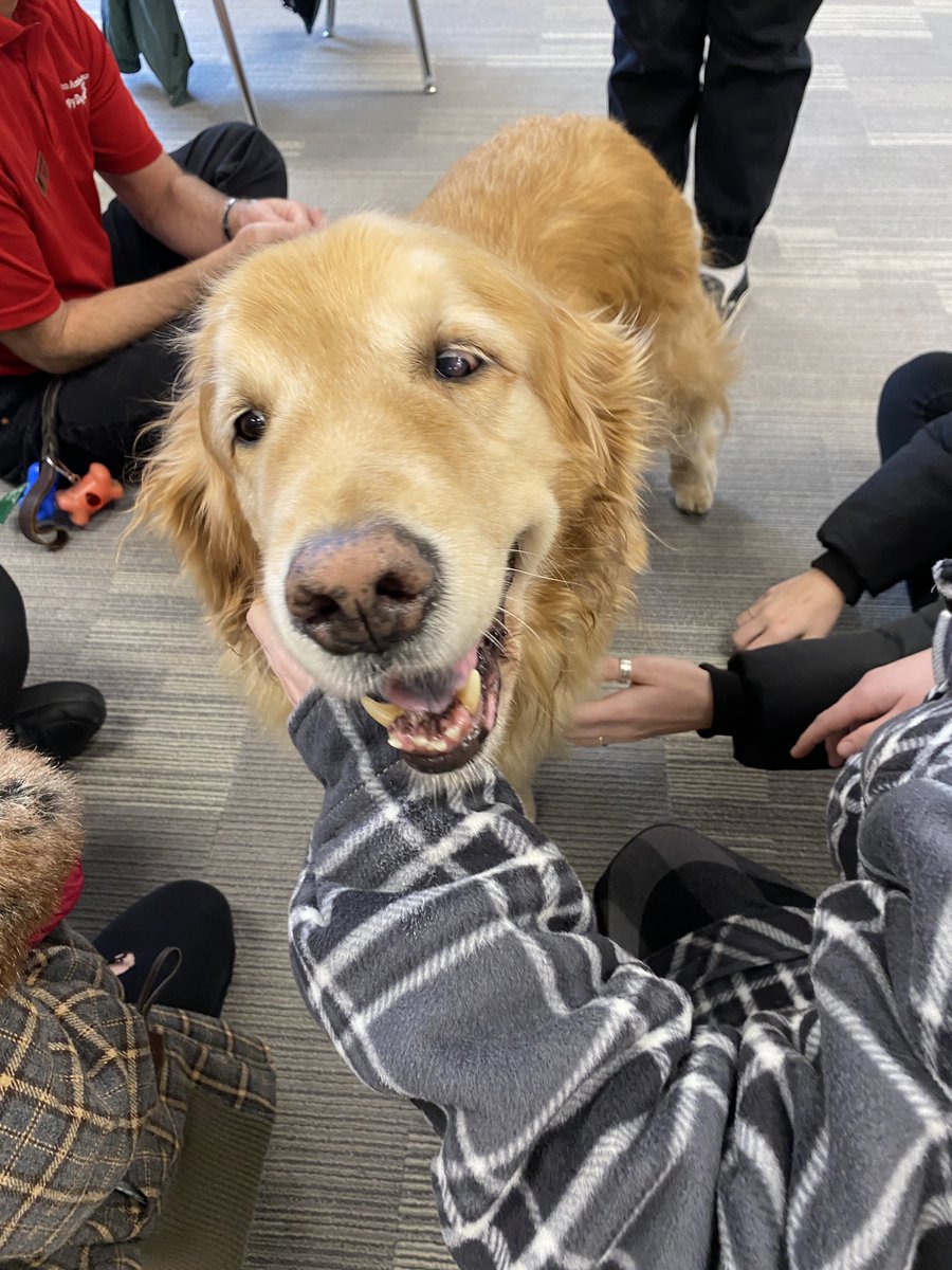 Clarke Road SS tweet media