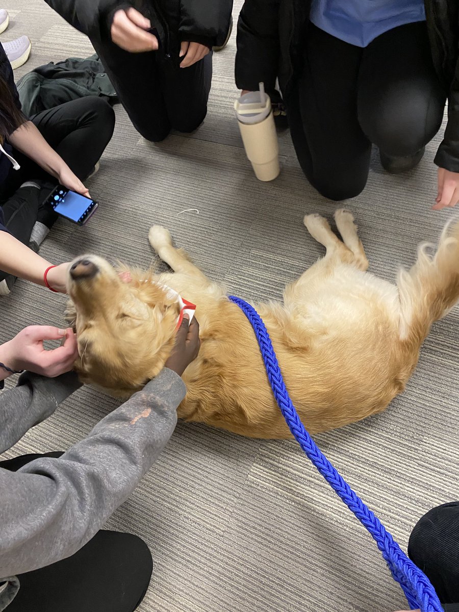 Clarke Road SS tweet media