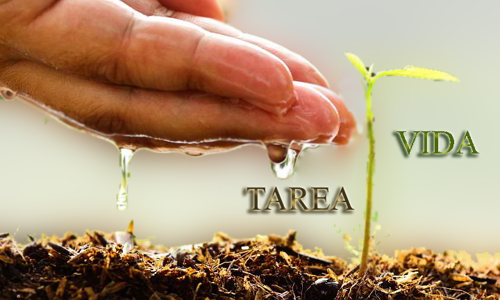 Misión Cuba Roma (@cubaonuroma) on Twitter photo La Tarea Vida es un Plan de Estado para el enfrentamiento al cambio climático sustentado sobre una base científica multidisciplinaria. Contempla 5 acciones estratégicas y 11 tareas dirigidas a contrarrestar las afectaciones en las zonas vulnerables. <a href="/MirtaGranda/">Mirta Granda Averhoff</a> La Tarea Vida es un Plan de Estado para el enfrentamiento al cambio climático sustentado sobre una base científica multidisciplinaria. Contempla 5 acciones estratégicas y 11 tareas dirigidas a contrarrestar las afectaciones en las zonas vulnerables. <a href="/MirtaGranda/">Mirta Granda Averhoff</a>