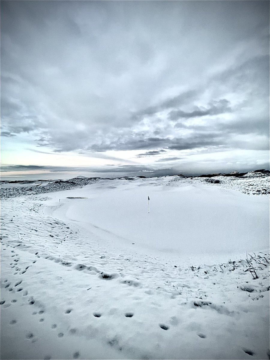 John Mcloughlin tweet media