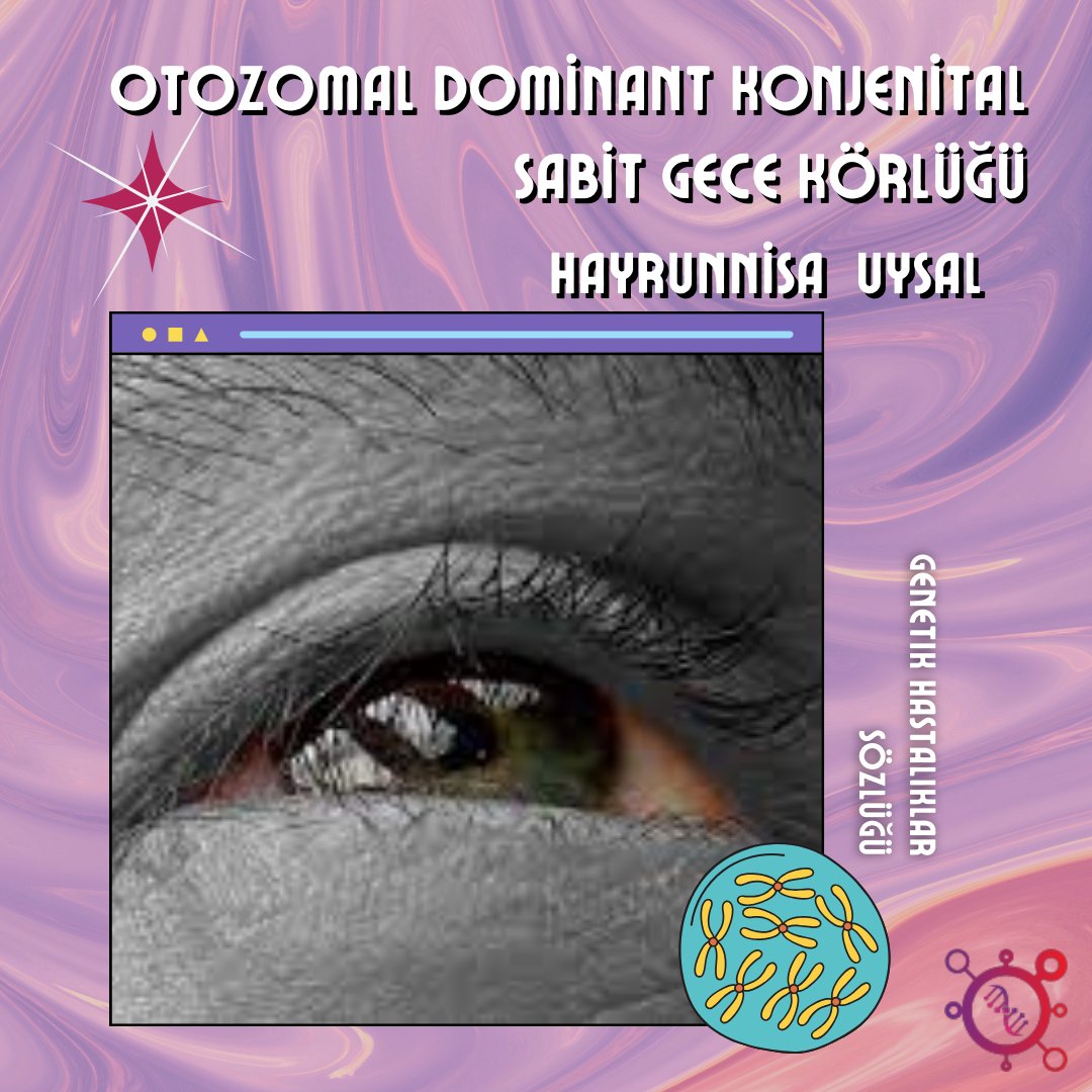 molekulce's tweet photo. Gözün arka bölümünde bulunan, ışığı ve rengi tanımlayan özel bir doku olan retina ile ilgili bir rahatsızlıktır.

""Otozomal Dominant Konjenital Sabit Gece Körlüğü"" adlı yazımızın devamını merak edenler için linkimiz 👇🏻😊
https://t.co/JSKjmXeAS1" https://t.co/Hl5IvG0Zwj