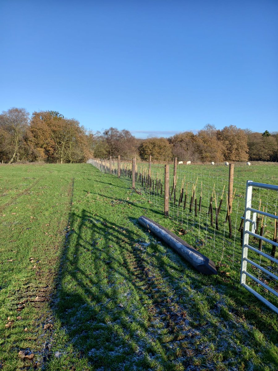 Mayfield Village (@mymayfield) on Twitter photo Mayfield volunteers with <a href="/WhitePeakFarmer/">White Peak Farmers</a> in 3 yrs have restored 48ha of habitat, grown & planted >9000 #wildflower plug plants, collected & sown >460kg of wildflower seed from local sites, created/restored 11 ponds, enhanced 225m ditch, planted 325m of #hedges & >500 #trees! Mayfield volunteers with <a href="/WhitePeakFarmer/">White Peak Farmers</a> in 3 yrs have restored 48ha of habitat, grown & planted >9000 #wildflower plug plants, collected & sown >460kg of wildflower seed from local sites, created/restored 11 ponds, enhanced 225m ditch, planted 325m of #hedges & >500 #trees!