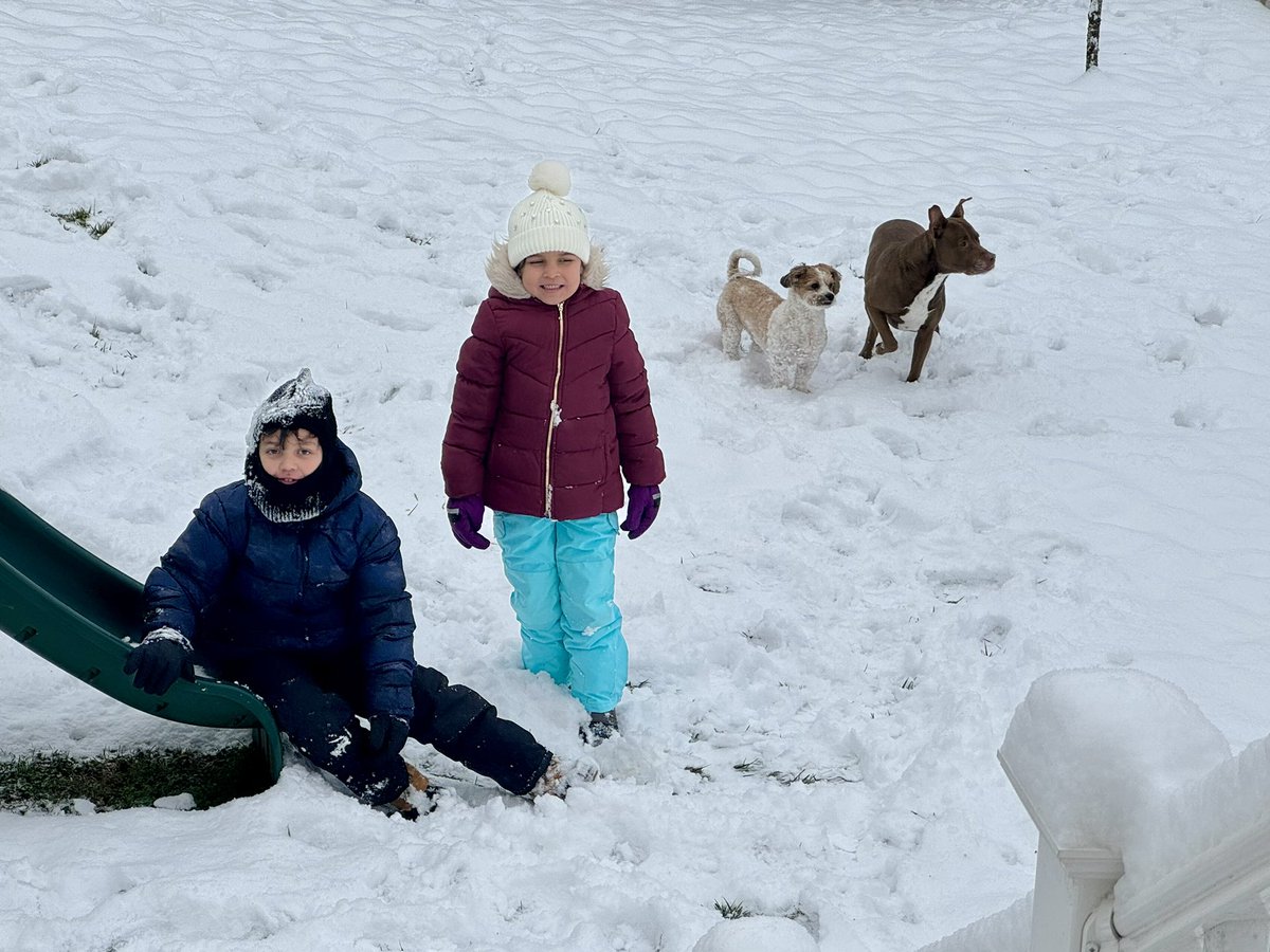 EricaYelland's tweet photo. The kids and dogs are all enjoying their snow day. ❄️ https://t.co/O9XBOogwEx