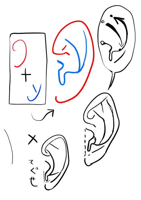 耳の描き方がなんとなくすぎたので資料久しぶりに確認した結果 手癖が全然違ってた