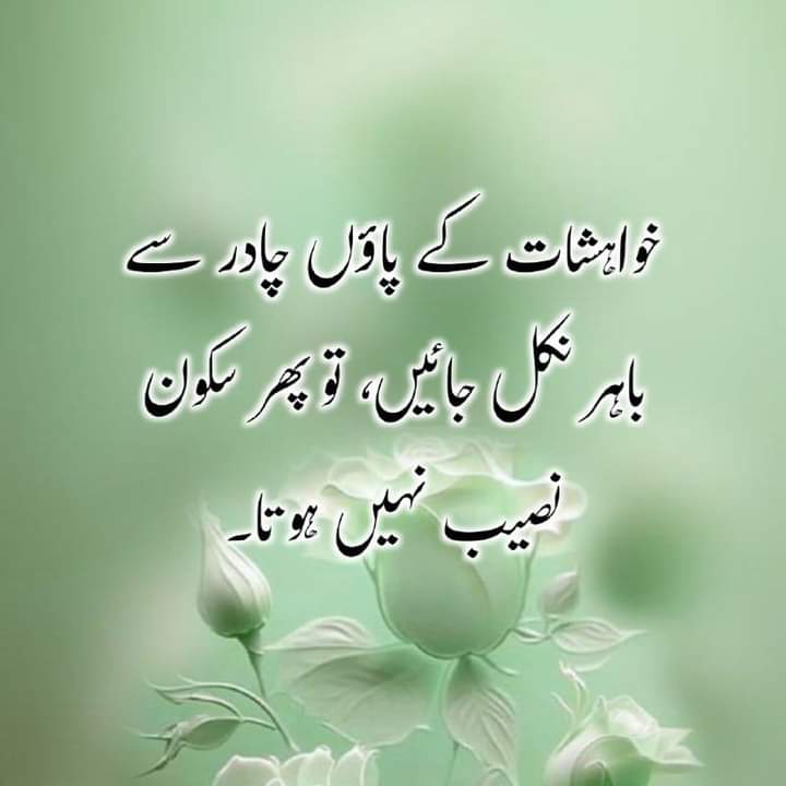 asimrahim048gm3's tweet photo. https://t.co/VjEBwBxN9o