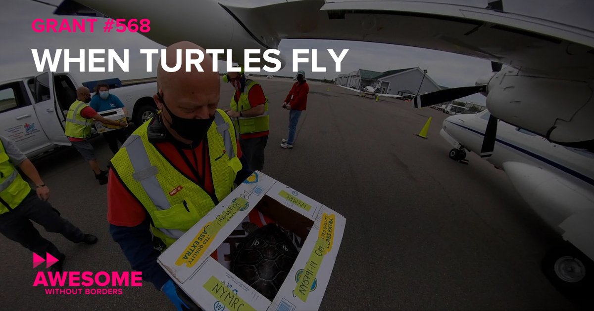 Awesome w/o Borders tweet media