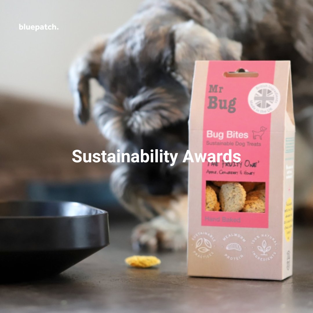 Does your business conserve or replenish the environment? That’s what the final category of the bluepatch Sustainable Business Awards is for. We’re looking for businesses that make a difference to the environment.

#wearebluepatch #sustainablebusinessawards #ethicalbusiness