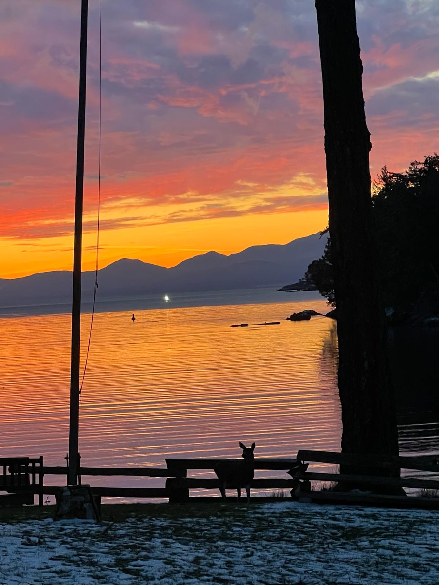 Jason McBride, Pearson College UWC (he/him) tweet media