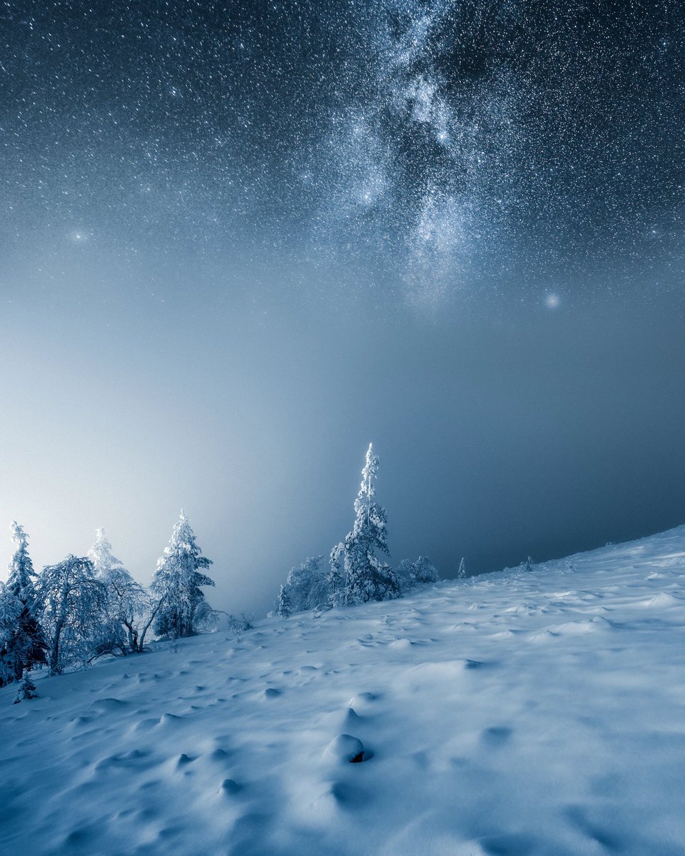 Casey💎 tweet media