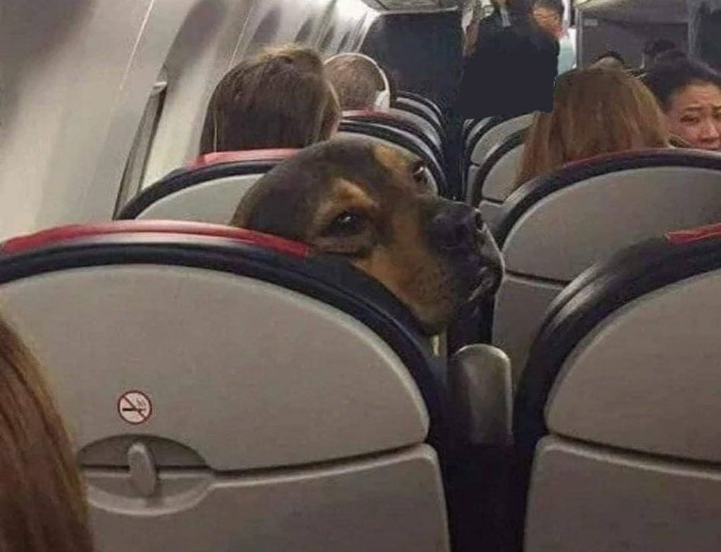 rich_athinks's tweet photo. Me checking if my bag is still there https://t.co/LyMqYmoEeG