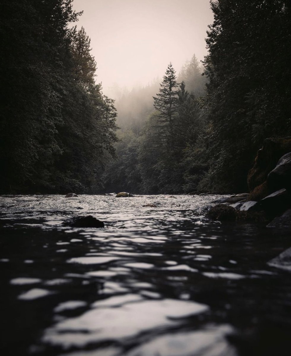 When we say Made in Canada...⁠ We mean made sustainably. Made for the land we live on. Made for all four-seasons. Made to weather anything. Designed locally. Building stronger communities. We mean let’s do better together. We mean made for the Okanagan. We mean made for you.