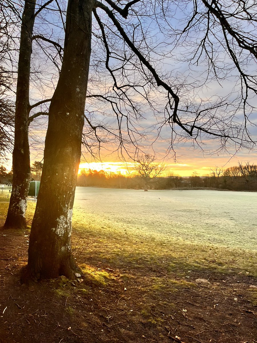 Beautifully crisp walk to work this morning! So glad I made to move to work closer to home. No more stressful rush hours, no more expensive parking. Perfect work, life balance. Looking after my own well-being is just as important as looking after my teams! Feeling Blessed ❤️