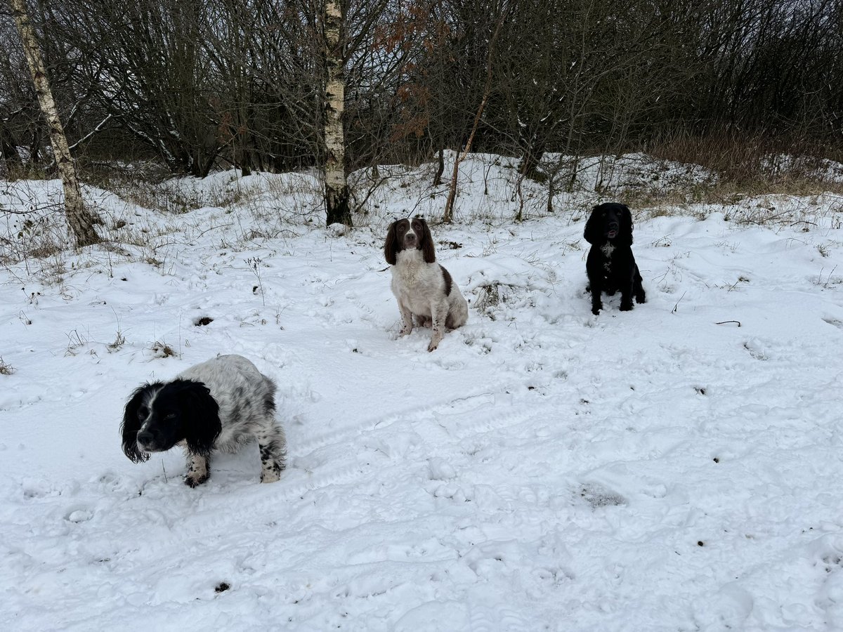 There’s always one child that ruins a nice photo!!!!