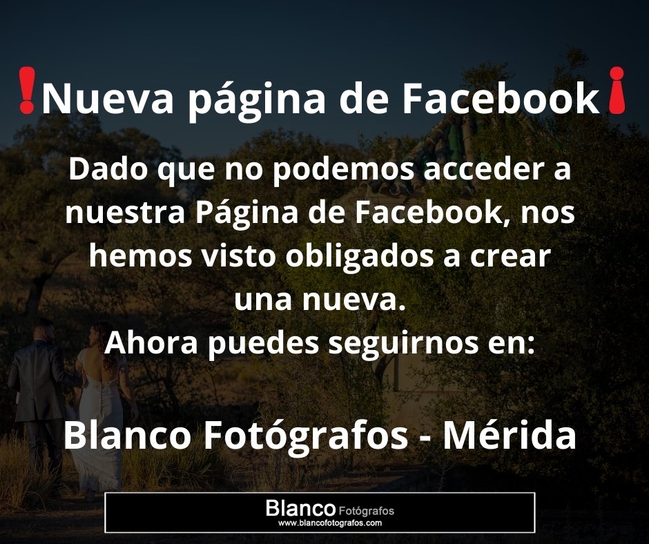 Blanco Fotografos tweet media