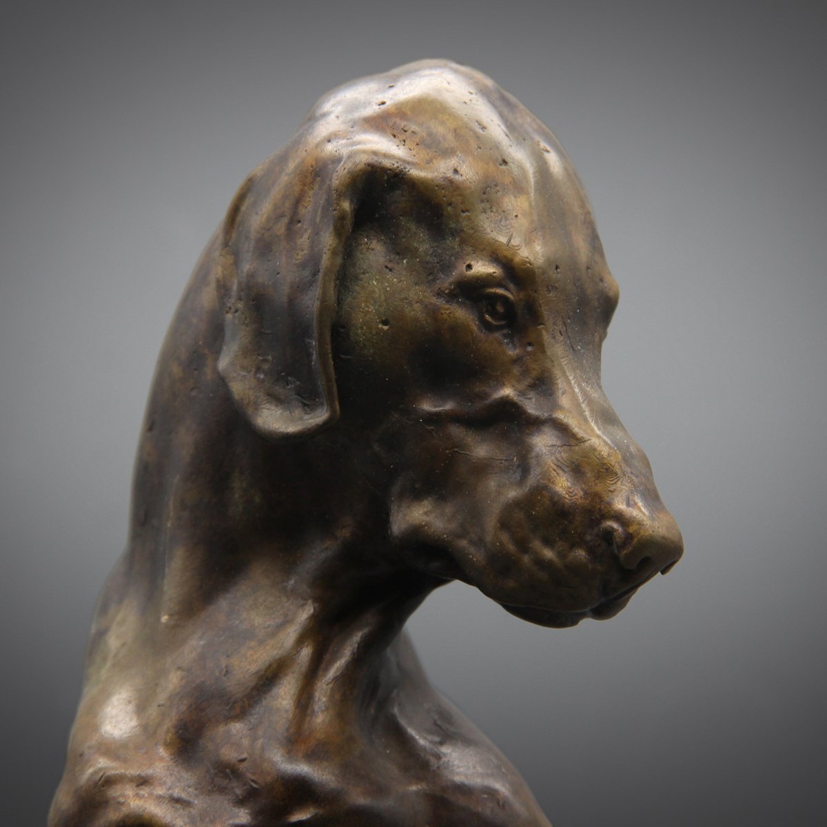 Romeo | Bronze on stone pedestal
-
Having copies in plaster of paris as well. Shot in my studio.
