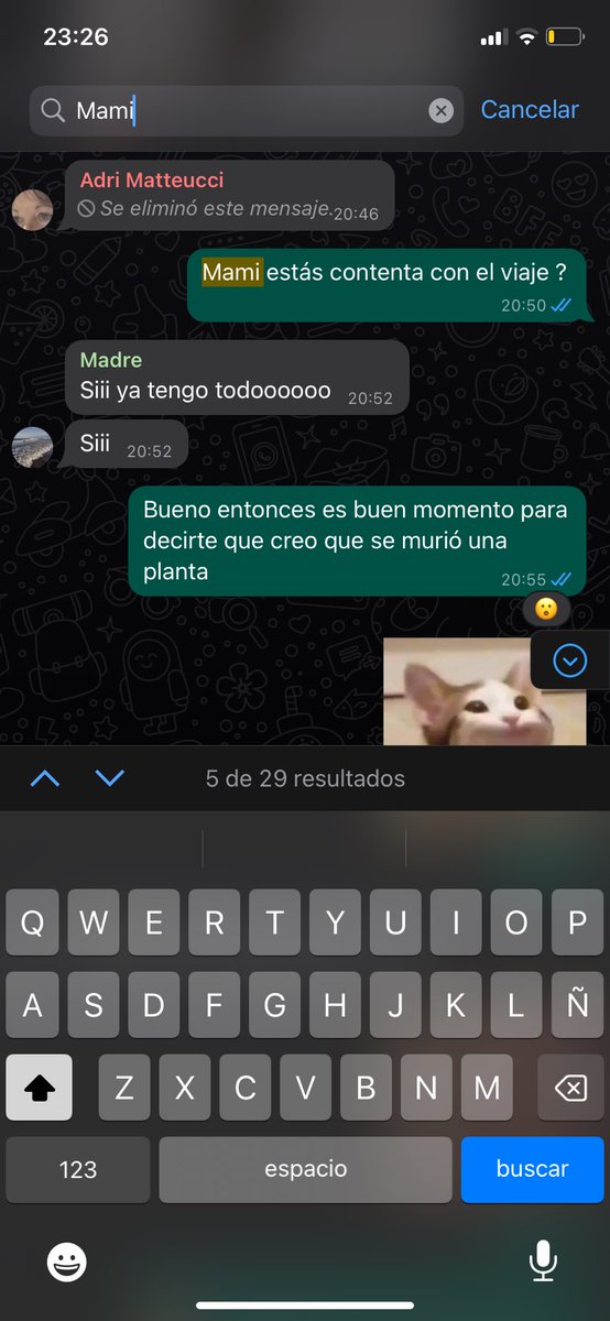 GimeGomez7's tweet photo. Las vacaciones pasadas le tuve que avisar a mi mamá que se había muerto una planta y no estaba muy contenta al respecto (es fan fan de cuidar sus plantas), todo iba súper hasta que … https://t.co/TduQcZf224