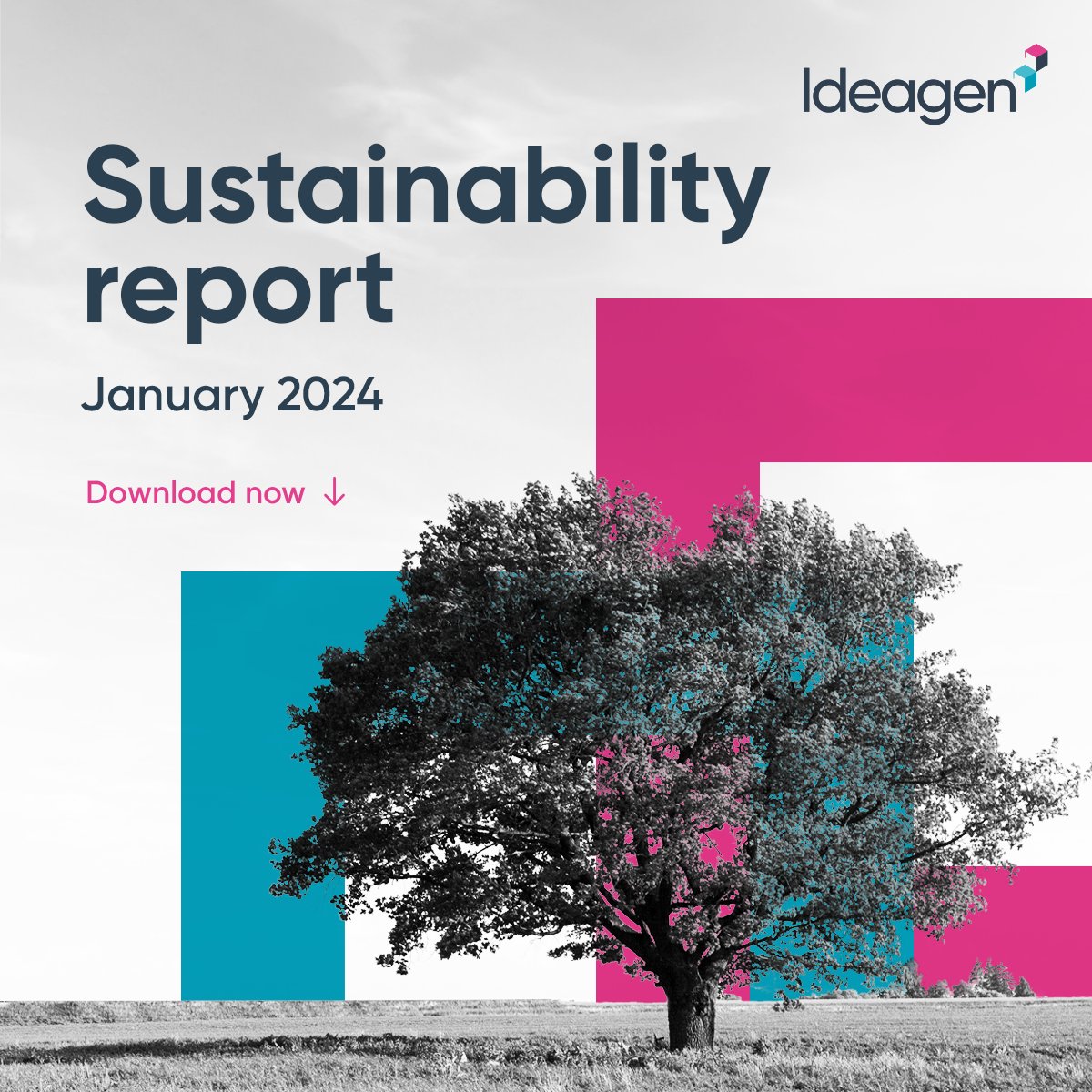 🚀 The Ideagen #sustainability report is now available for download! We're proud to share our significant progress over the last year in all areas of #ESG.

Download the report now and explore our commitment to sustainability.

➡️ okt.to/P4Qty7