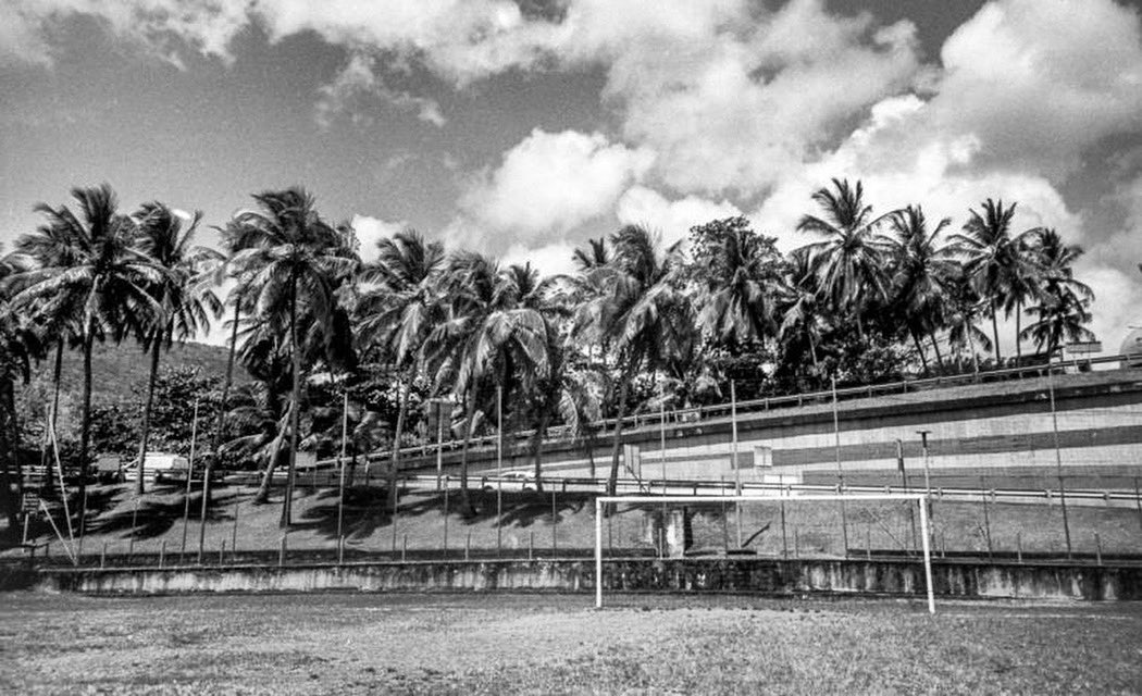 Renphotographie's tweet photo. Playground palmé.

#playgroundlove #football #but #palmiers #exotique #renanperon #analogphotography #filmphptography #filmisnotdead #35mmfilm #bw #bwlovers #bwphotooftheday #photooftheday #photography #paysageurbain #martinique🌴 #igersmartinique #sainteluce #heyfsc #revuepic https://t.co/UqqzZ4j5E8