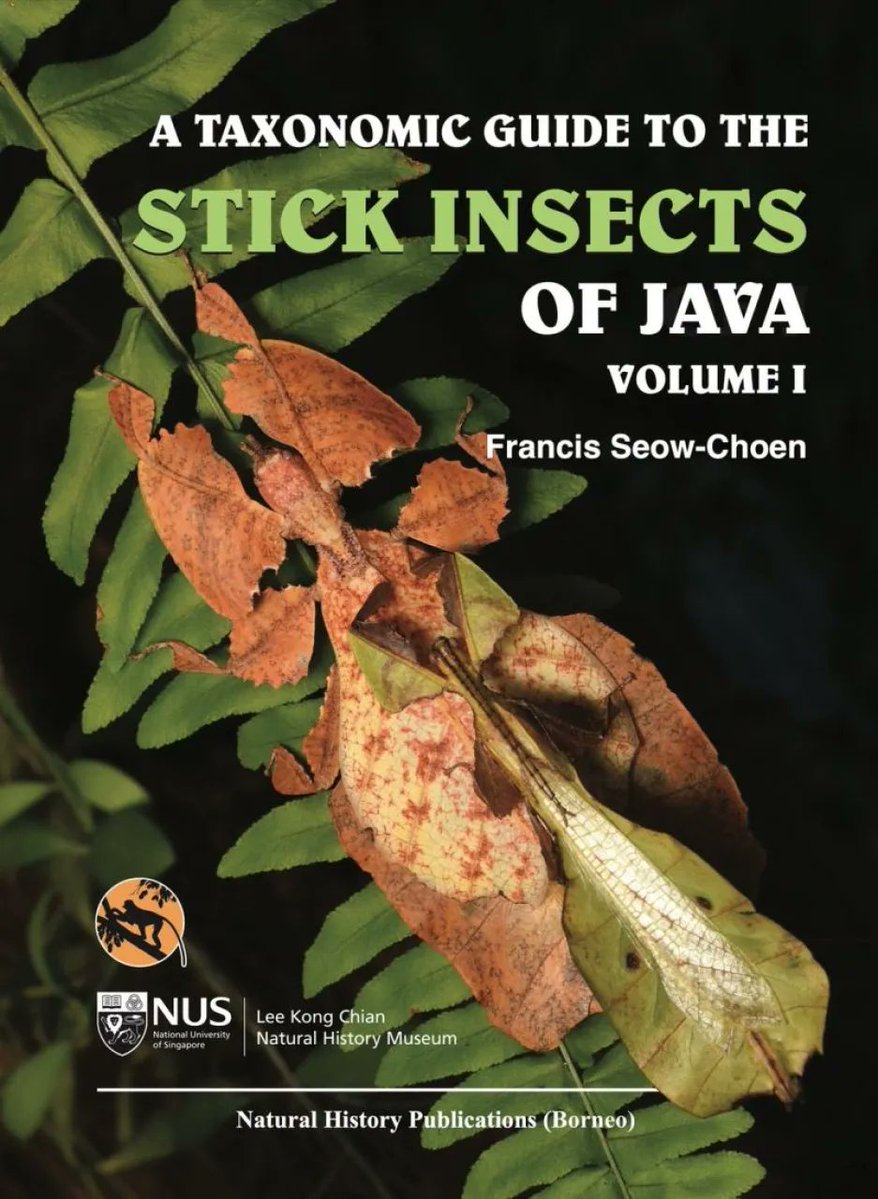 PemberleyBooks's tweet photo. New in stock: A Taxonomic Guide to the Stick Insects of Java Vol. 1.
This detailed and lavishly illustrated exploration of stick insects from Java, including new species and genera is the latest volume in this monumental series.
https://t.co/PnMj0XuIyd
#SouthEastAsia #Phasmids https://t.co/YYAZXYhN4l
