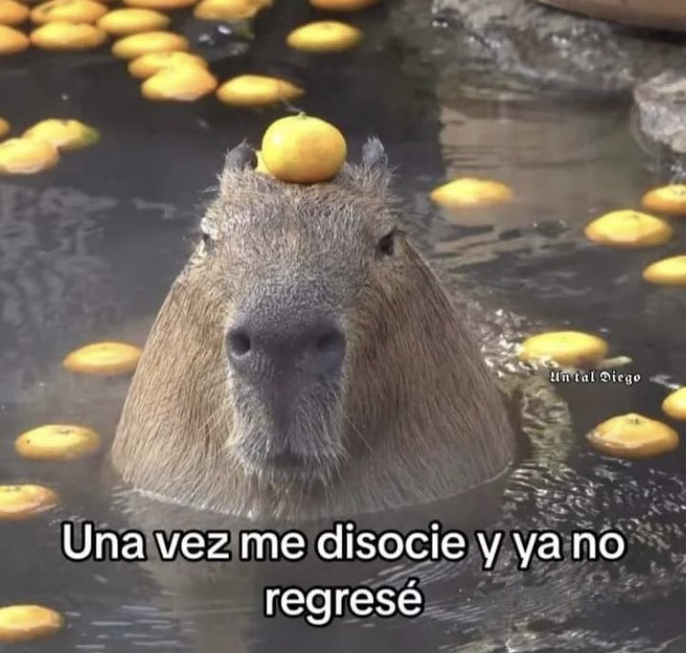 Hablando de mentiras que se salen de control…nunca les ha pasado con algo? 
A mi una vez, cuando tenía 14, me pasó que para evitar que me regañaran por haberme quedado dormida en una casa ajena sin avisar, terminé en medicina legal tratando de explicar cómo me habían secuestrado