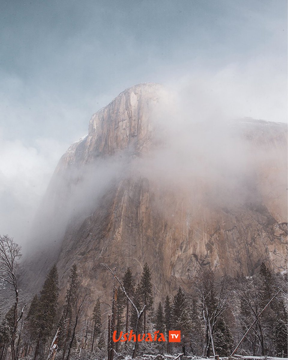 #inédit CAP SUR EL CAP ⛵️

Seb Berthe rêve de tenter l’ascension du Dawn Wall, la grande voie la plus difficile du monde, face sud-est d’El Capitan.

➡️ RDV à 20h45 pour une ascension collective !

#DawnWall #ElCapitan #aventure #ascension
<a href="/BrianMathe/">Brian Mathé</a> <a href="/MorganMonchaud/">Morgan Monchaud</a> <a href="/Solidream/">Solidream</a>