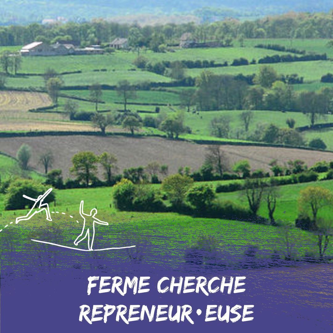#PetitesAnnonces : Ferme en polyculture-élevage allaitant dans le Boulonnais à transmettre 🐮

Tous les détails par ici 👉 objectif-terres.org/annonces/7313

#Ferme #Elevage #PasDeCalais