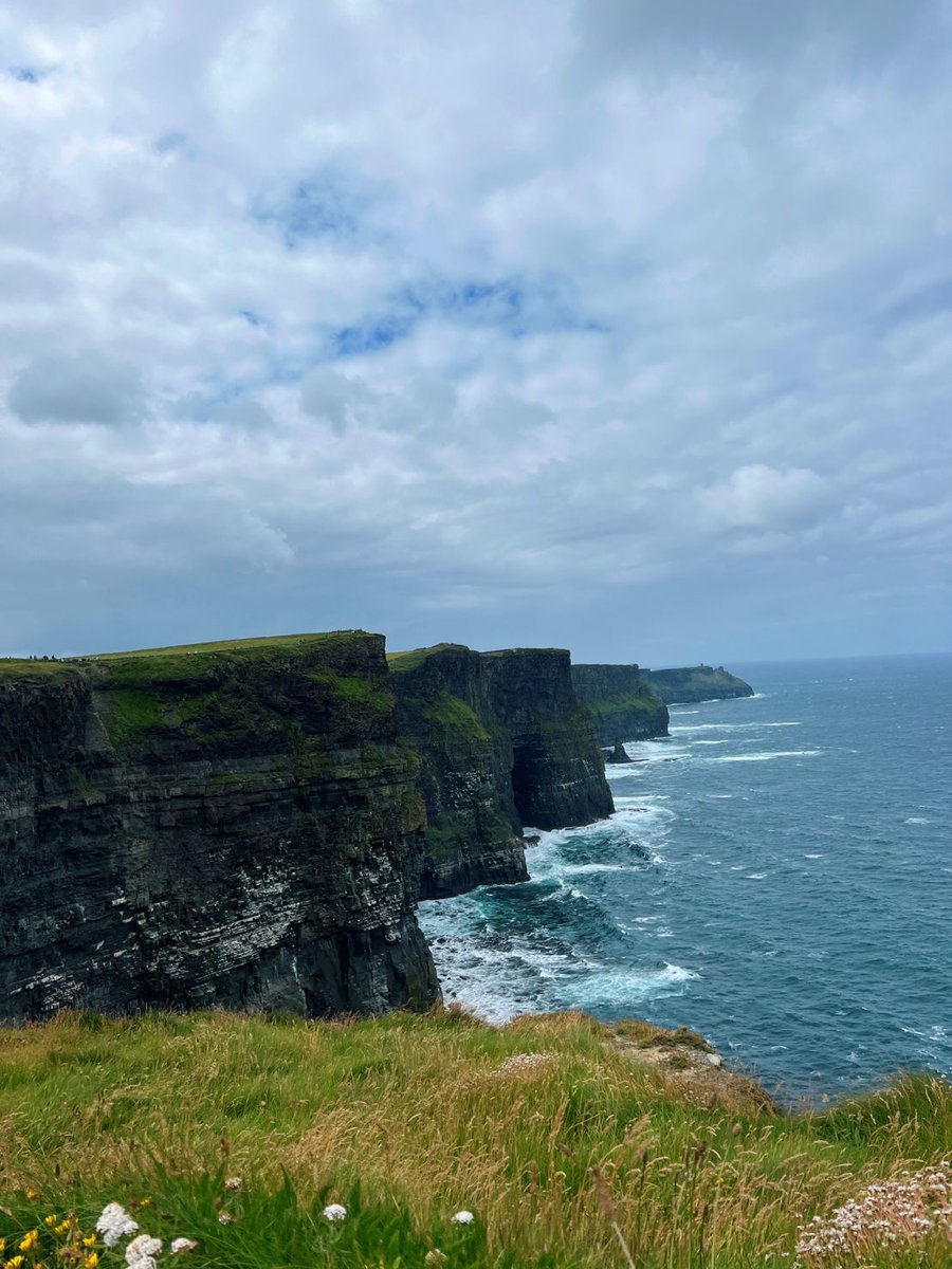 Clemson MBA Program tweet media