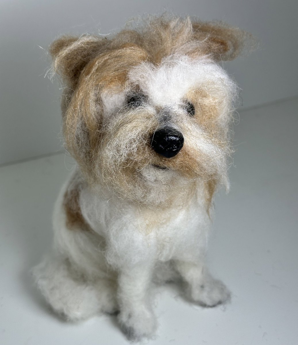 A lovely wee scruffy boys needle felted portrait