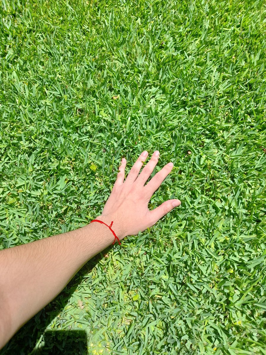 CharizardTweet's tweet image. Done. Your move.