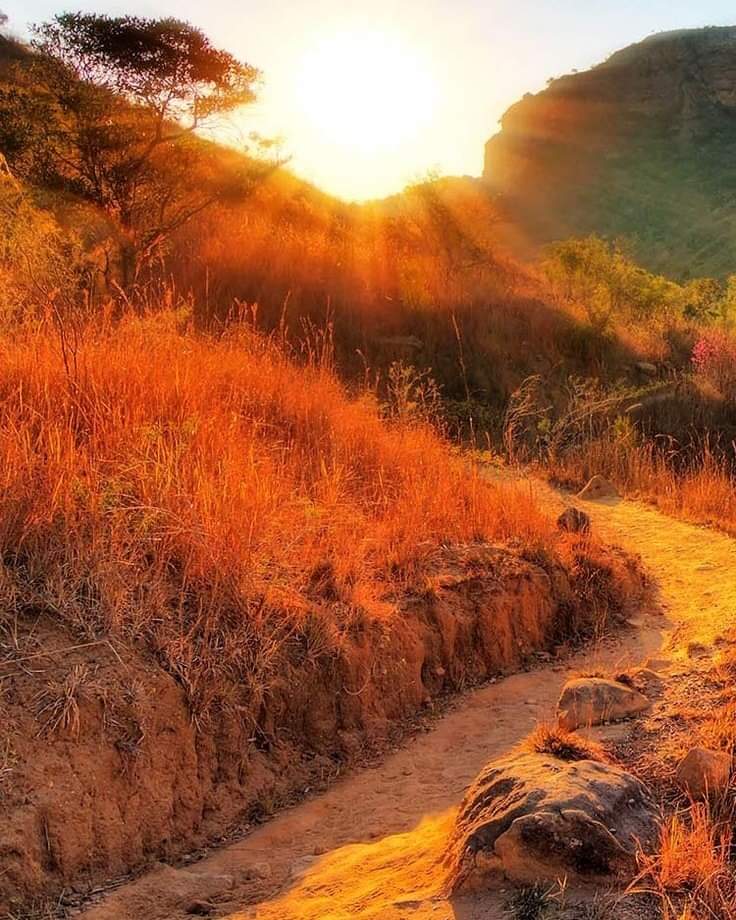 Isalo National park, Madagascar 🇲🇬