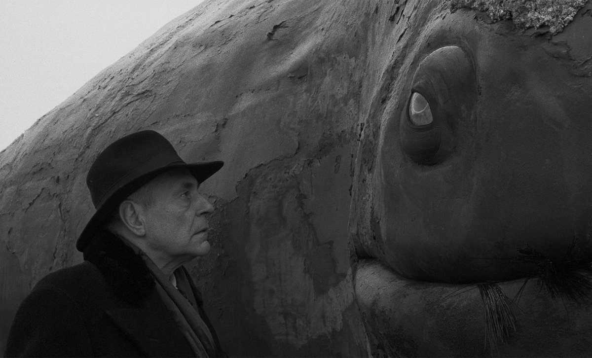 Criterion's tweet photo. Béla Tarr and Ágnes Hranitzky's WERCKMEISTER HARMONIES (2000) enters the collection this April! https://t.co/5V9hbMaU5x

This mesmeric parable of societal collapse is an enigma of transcendent visual, philosophical, and mystical resonance. https://t.co/IrMCcYjCMZ