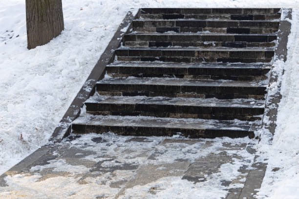 midwestern_ope's tweet photo. David Attenborough: one of the most dangerous places in the world. The icy steps of the Midwest. https://t.co/BIsmRXUBdv