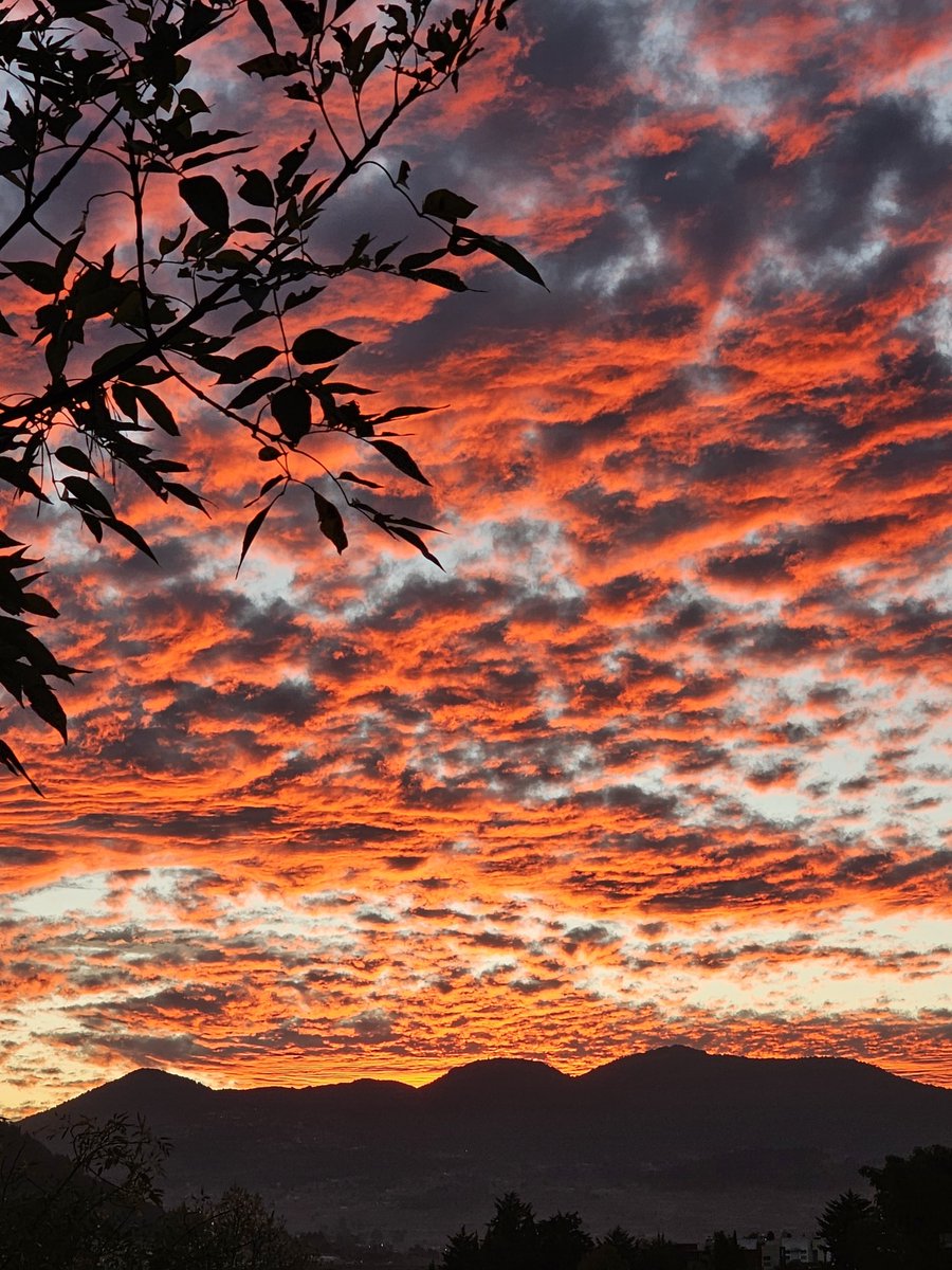 niggargc's tweet photo. Una postal de un atardecer. https://t.co/PPdfomjVf9