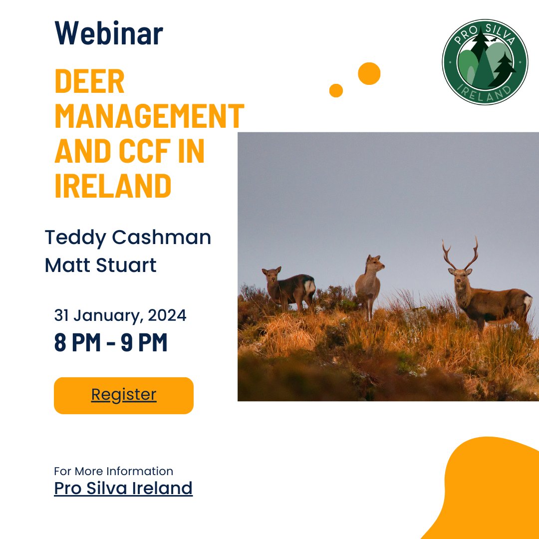 Pro Silva Ireland tweet media