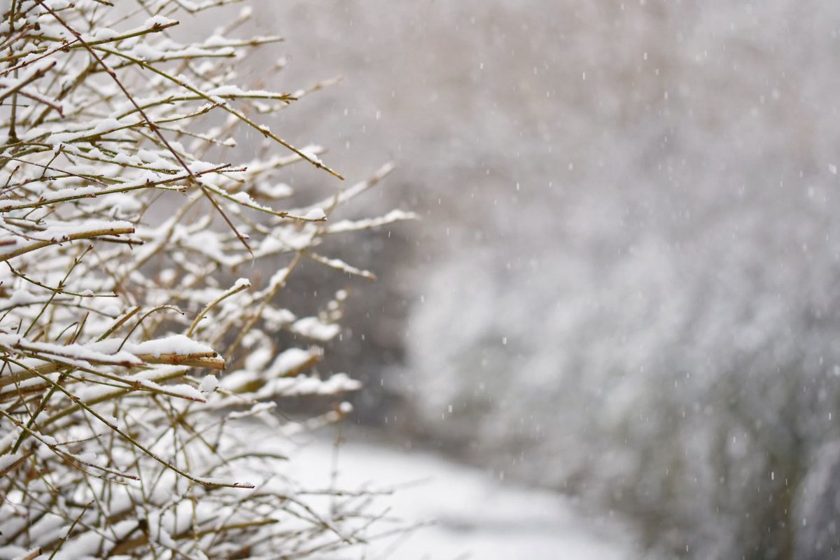DCLS_Library's tweet image. Please be aware that Elizabethville Area Library will be closed today, January 16th, due to weather conditions. If you need a new book to read or an online resource, visit us online buff.ly/3Rxm6s2 as we are always Open for Discovery!