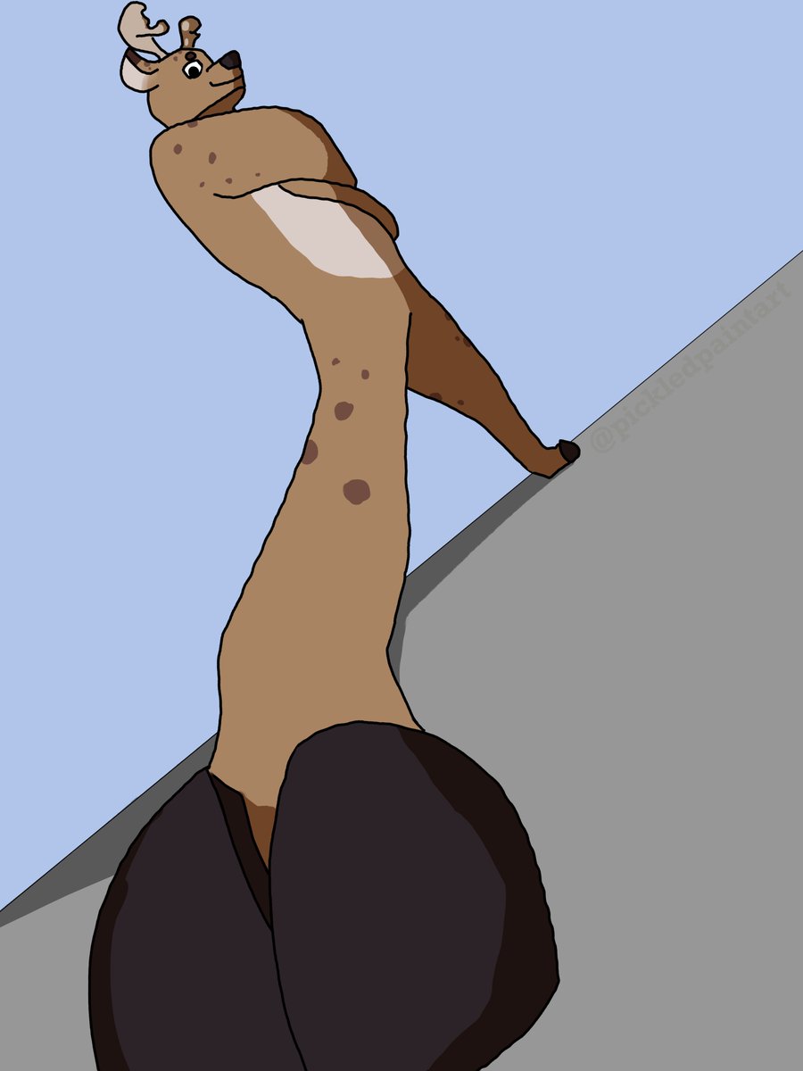 When did <a href="/QuinDeer/">one of many deer</a> get so cool?