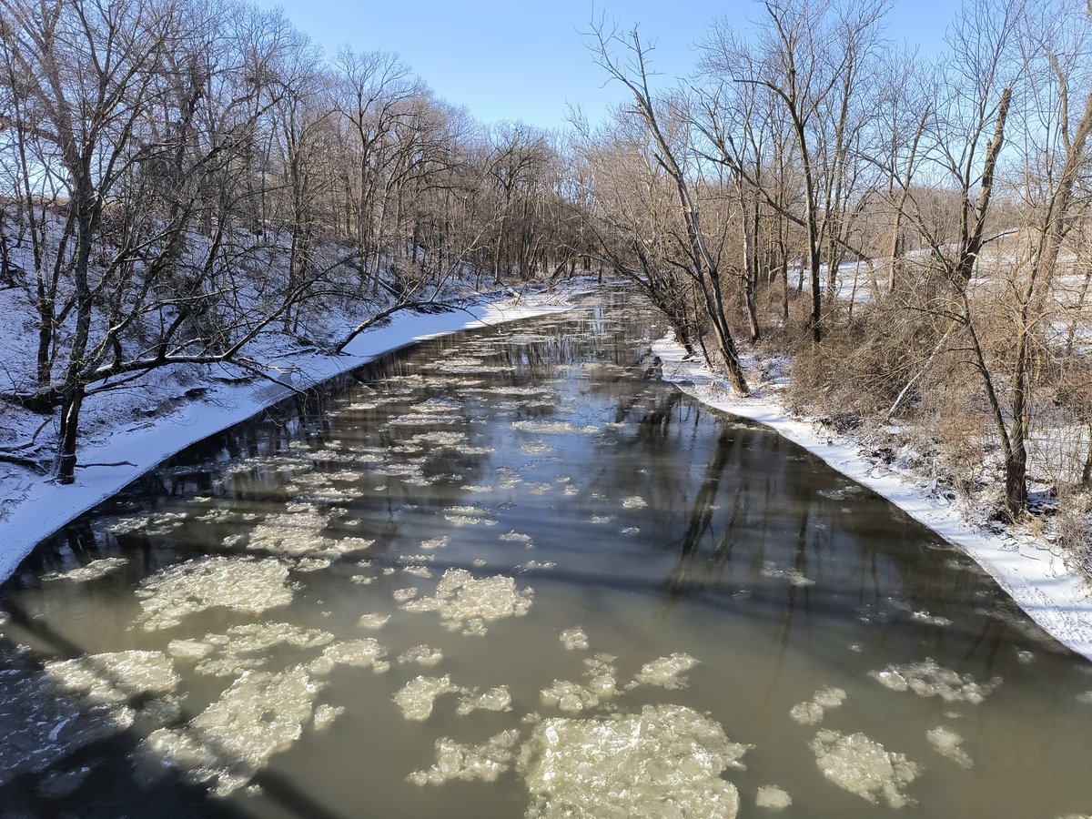 tom kacich tweet media