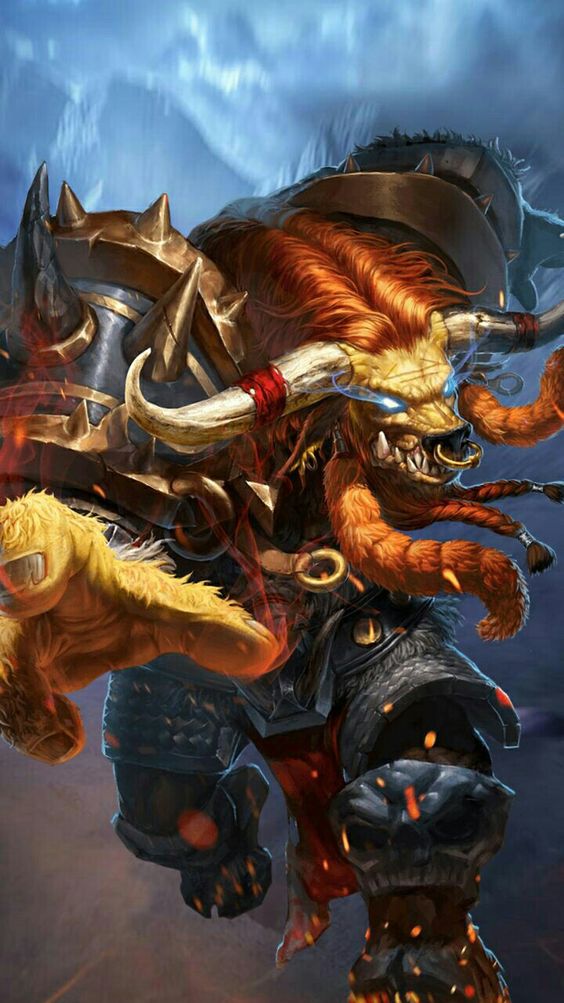 tilki aylin tweet media