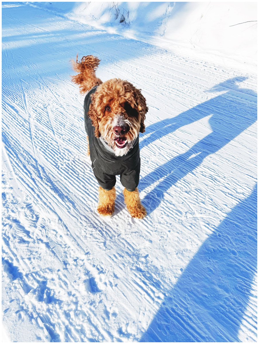 Still going to ski but gotta go for the coat in  3°F/-16°C.