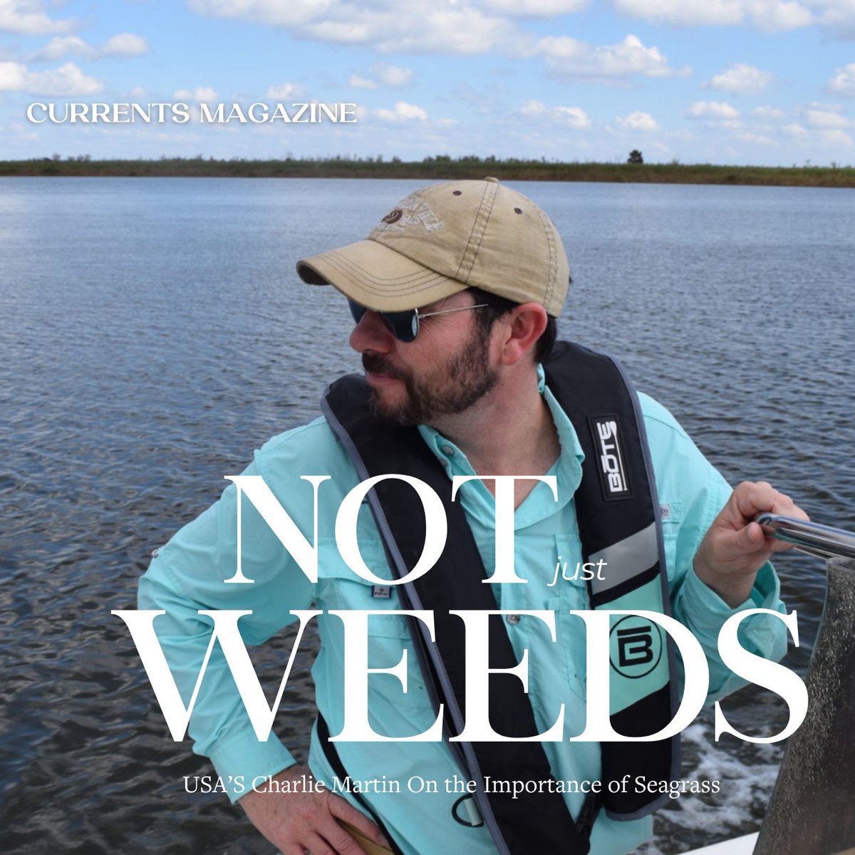 MobileBaykeeper tweet media