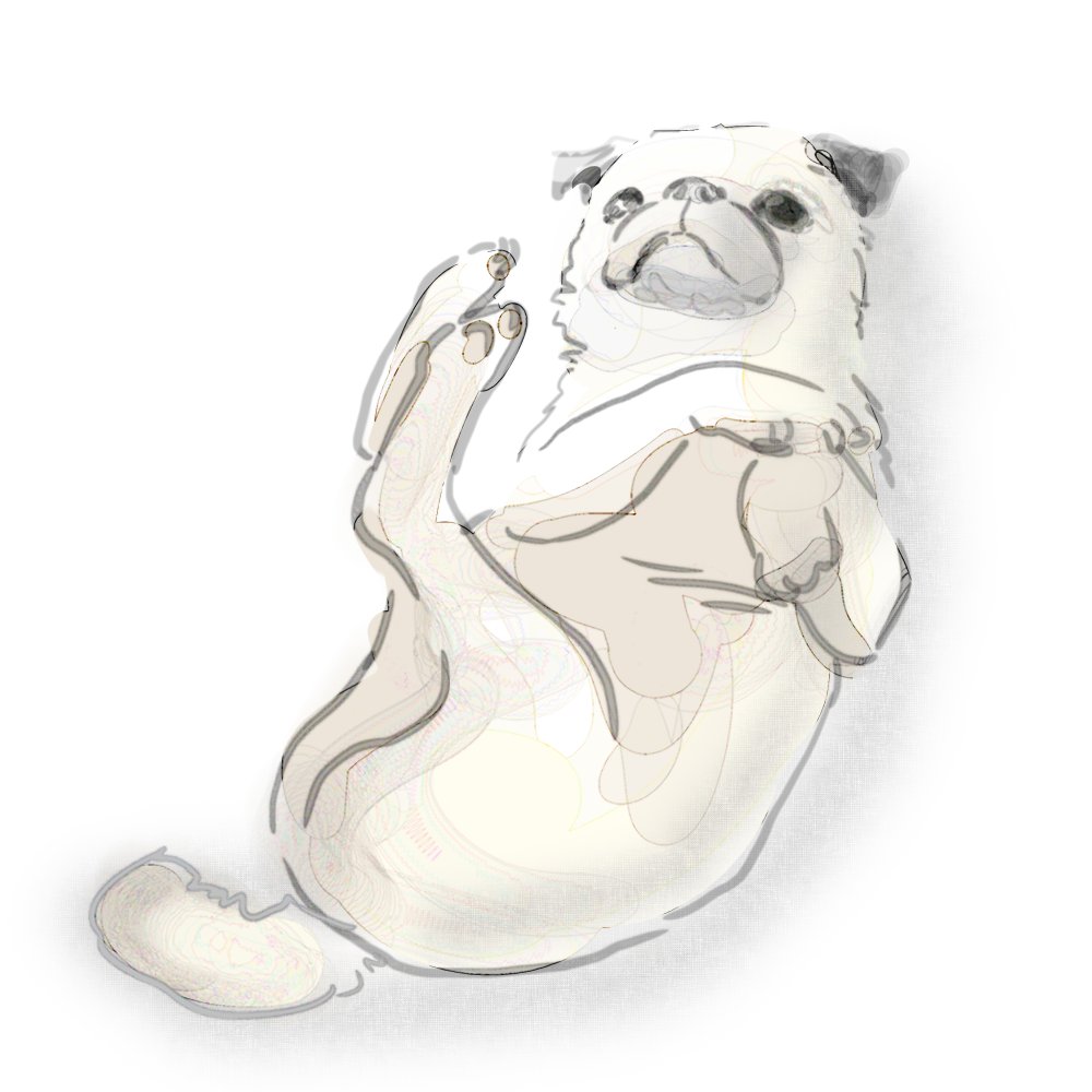 「ひなたの犬 」|よしこのイラスト