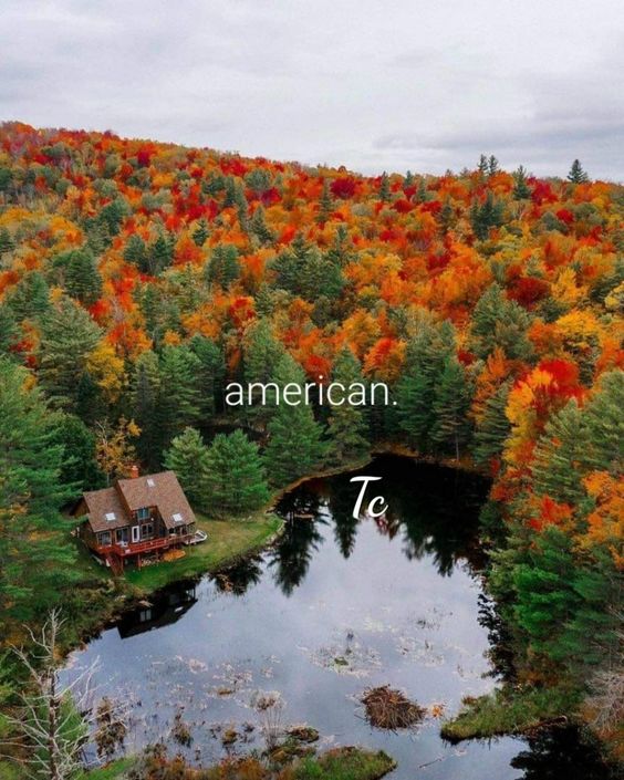 eduardo ramirez tweet media