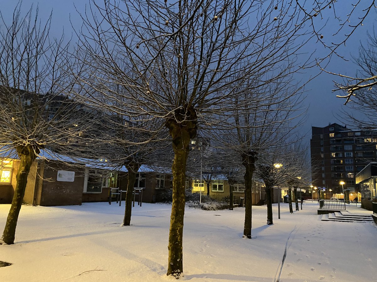 Schoolplein van de <a href="/VanHouteschool/">Van Houteschool</a> vanochtend vroeg voordat alle sneeuwpret begon #wonderewittewereld #☃️