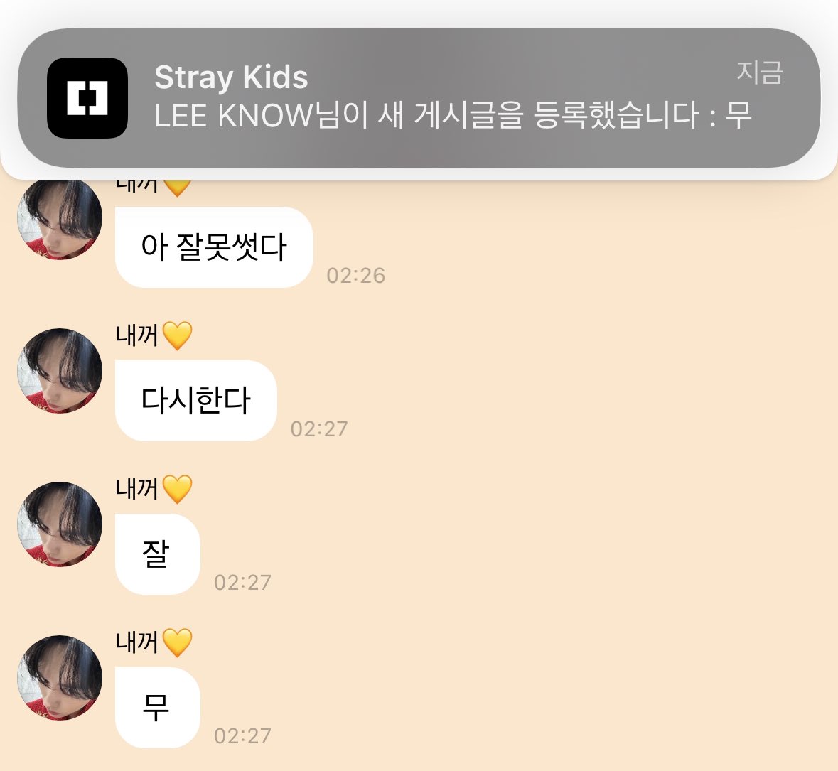보들 tweet media