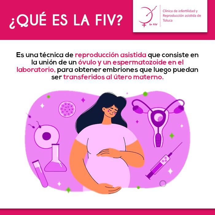 Exploramos esta asombrosa técnica de reproducción asistida que ha sido el puente hacia la realización de sueños de muchas familias. 🤰👶 ¿Listo para conocer más sobre esta opción en el viaje hacia la maternidad? 📖✨ #FIV #ExplorandoLaMaternidad #ClinicaDeInfertilidad