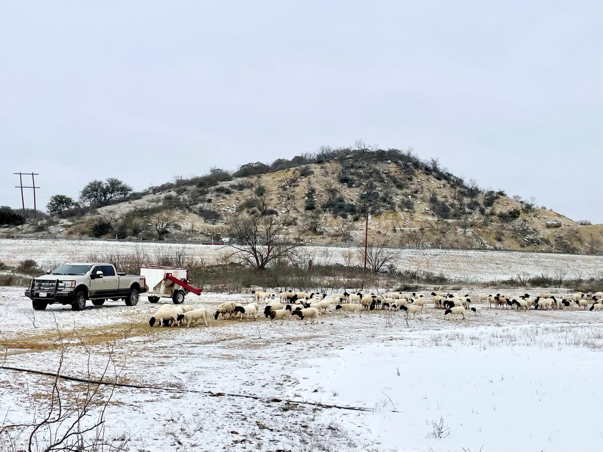 Texas Farm Bureau tweet media