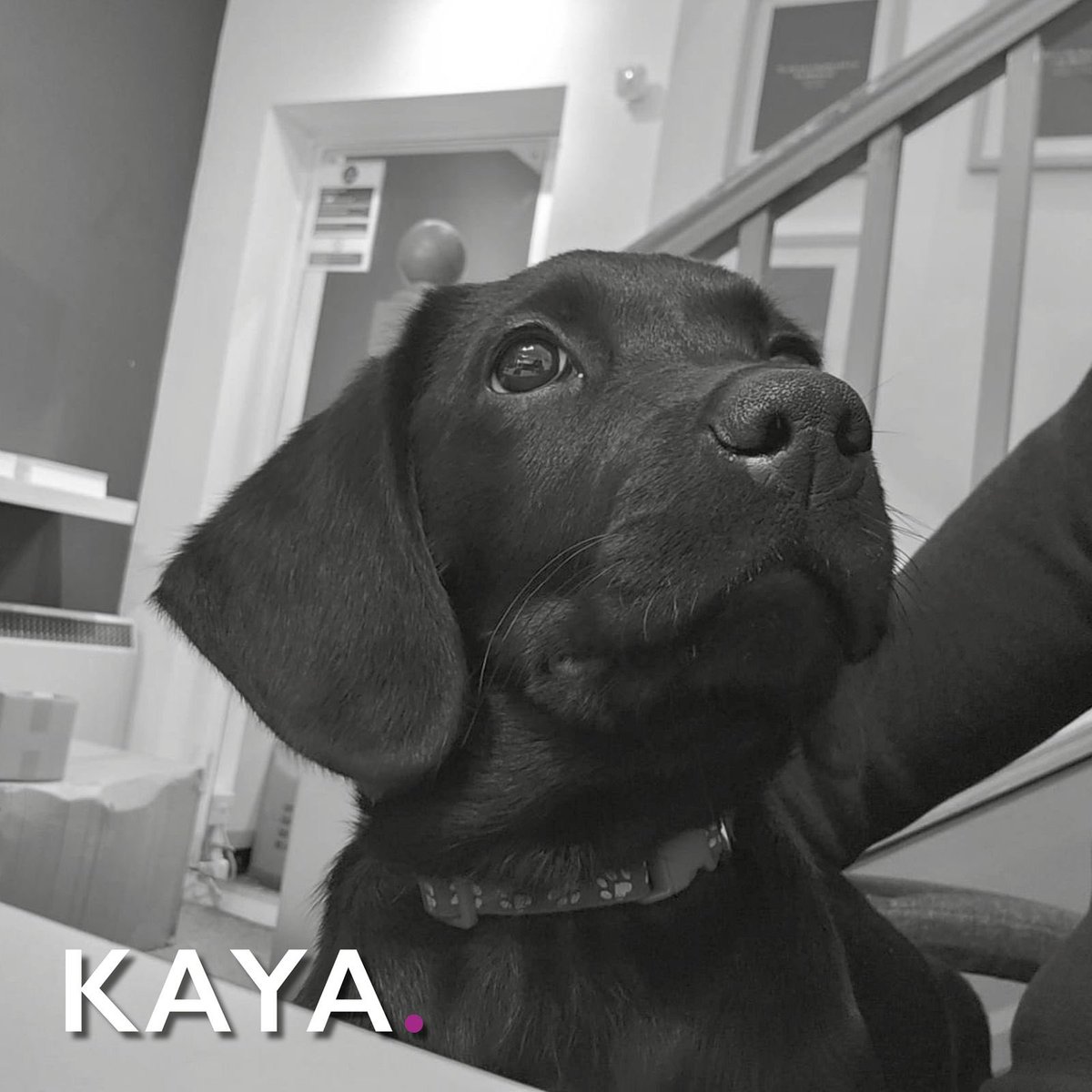 Absolute Creative Print tweet media