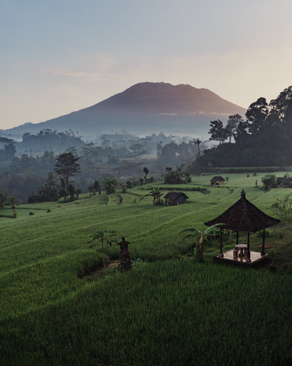 Gm 🙋🏽‍♂️ Been a while guys - I’m home 🇮🇩